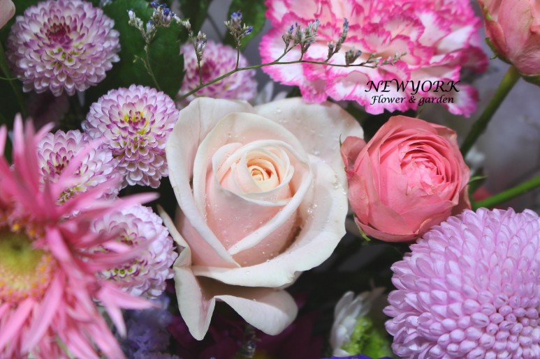 3067863498_741Koli8_5fb2dcc3c17a76d8d945f1e4f469d02153baa4ed.jpg 이미지크게보기