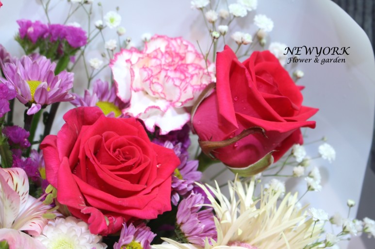 3067863498_7b0J8GX2_64dc8eff7596fd4e61ae07a9686deee4b60b11f2.jpg 이미지크게보기