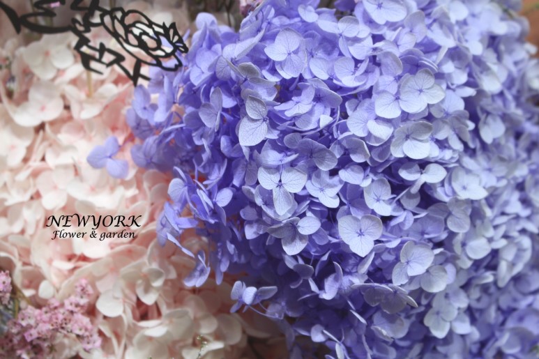 3067863498_HoP7kngU_6c5fcdfe5af6991206f4ef9f0429c1ef1ec44fbd.jpg 이미지크게보기