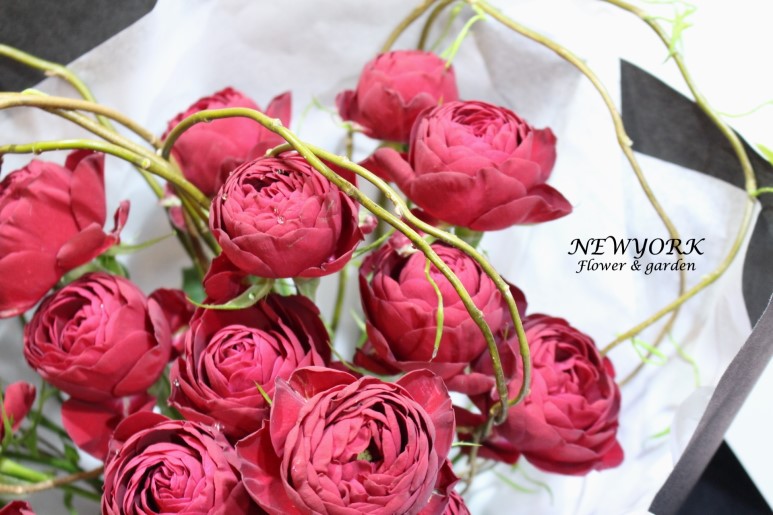 3067863498_OheBsqGt_588d7bdc78b7fe1ebe23e0086ee4d0fc4a444ae7.jpg 이미지크게보기