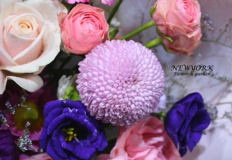 3067863498_PgJuBar8_a6918219cf3058fa7646346b3a235e6cfcd0ea7a.jpg 이미지크게보기