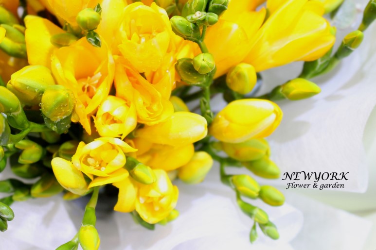 3067863498_ZcjrFG7P_c5eaf09de489539cddef5ea440d4f99af7101242.jpg 이미지크게보기