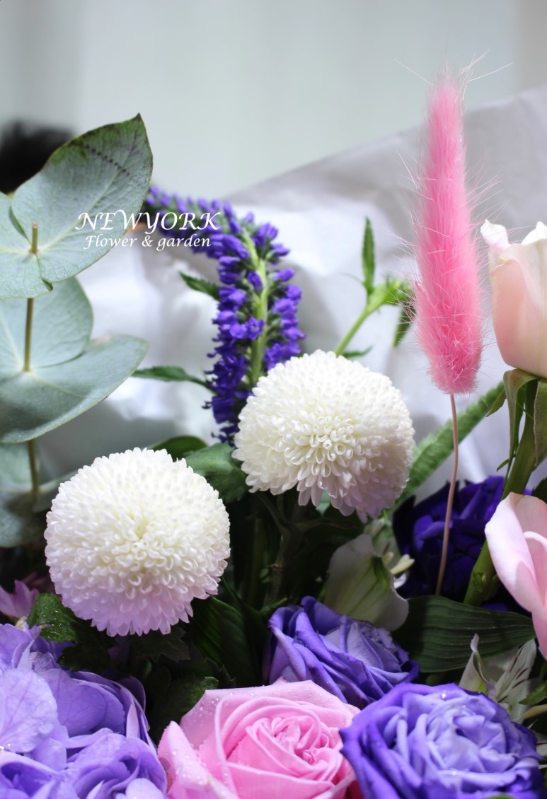 3067863498_hgkOaAY9_d084977f62d24bca37205c3fb1ca9b973e74a76a.jpg 이미지크게보기