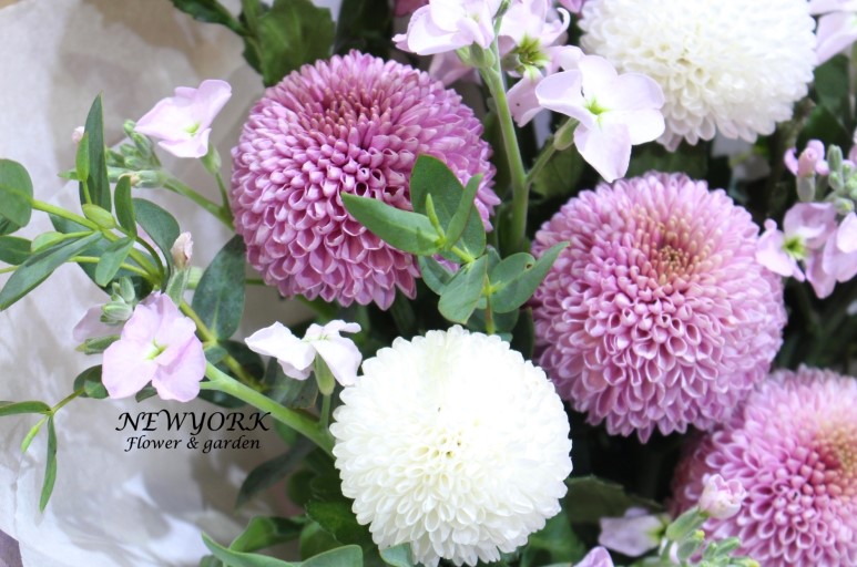 3067863498_muoX18LM_0ca80bdaa7c0eacb7ddf5cdba5e8ab872d2c492c.jpg 이미지크게보기