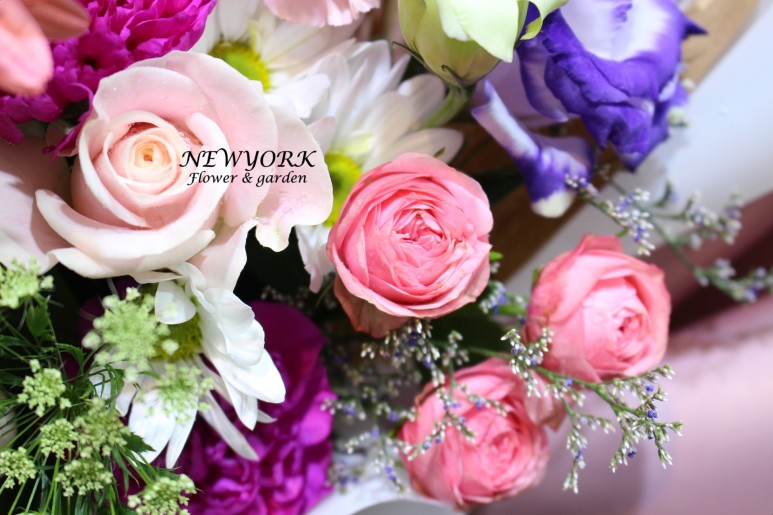 3067863498_rtQEzINm_7ed11095220b75f3511c1e1ca5033b1a760d6631.jpg 이미지크게보기