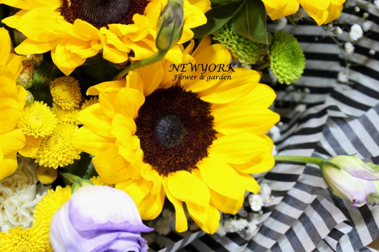 3067863498_wQFKbOBj_2875f97694cfb8241a9eb166801a9cb7e7996b81.jpg 이미지크게보기
