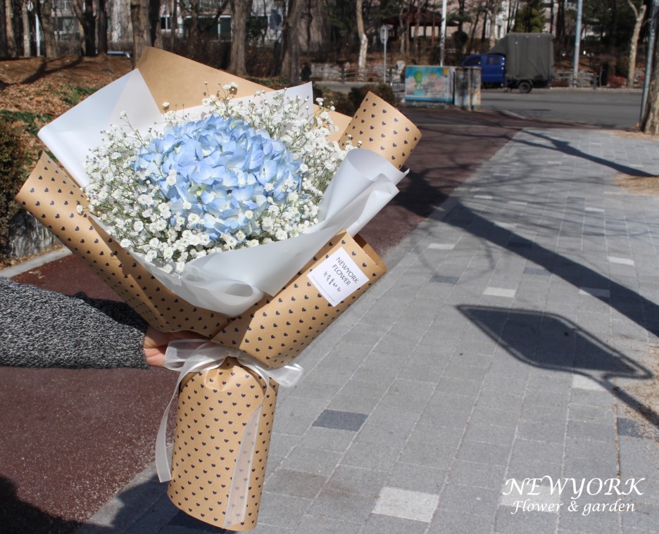 662232340_GYjn7BS3_b37ae639193866e68c9fb9a72ad71e8c4e9555d7.jpg 이미지크게보기