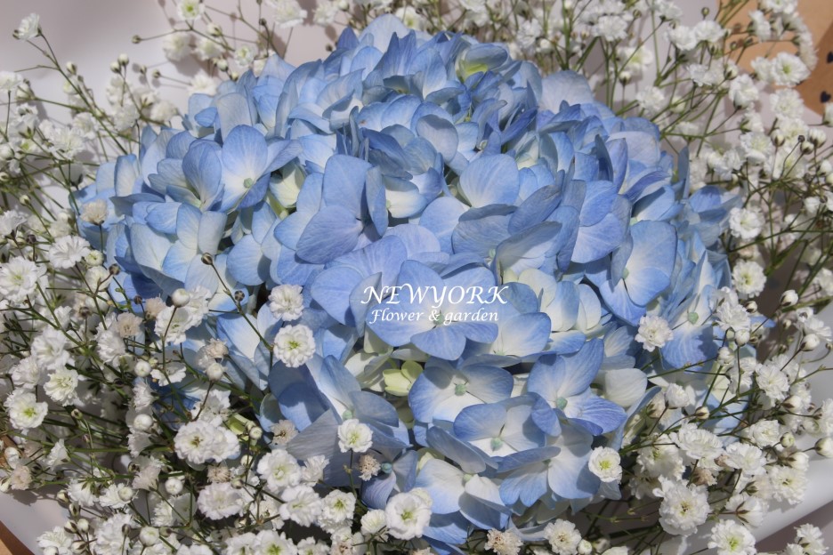 662232340_dQ9JnqFt_c307fa4d176659221e98bf6b5286bdece52f577e.jpg 이미지크게보기