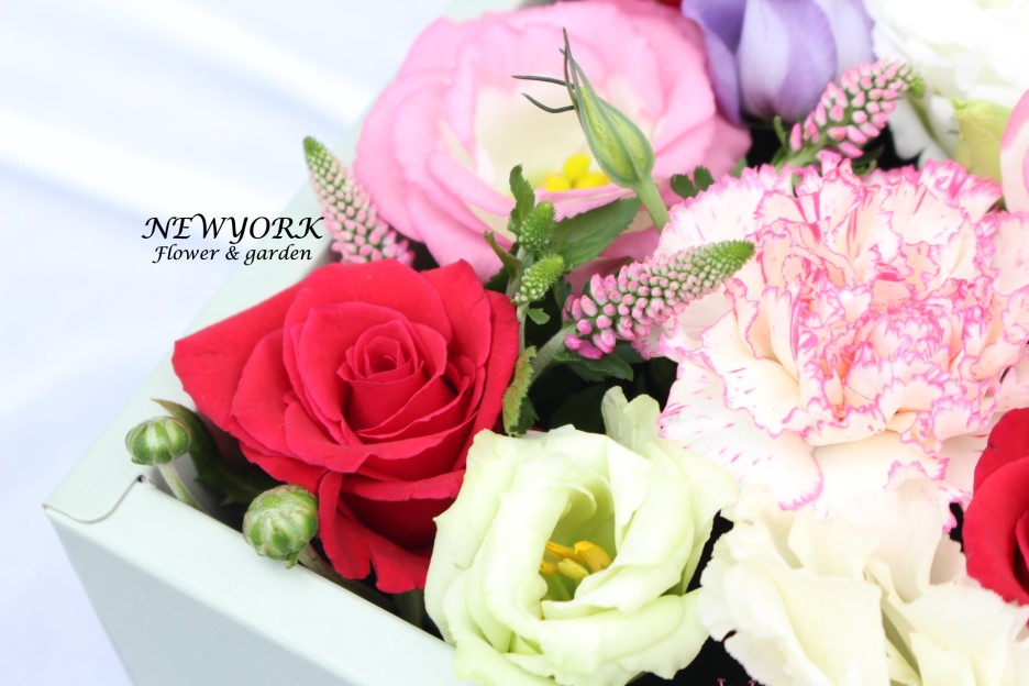 237354179_7f16Jgpu_91c6abbb2586f3d31511789bc55fbcf3c218f5a0.jpg 이미지크게보기