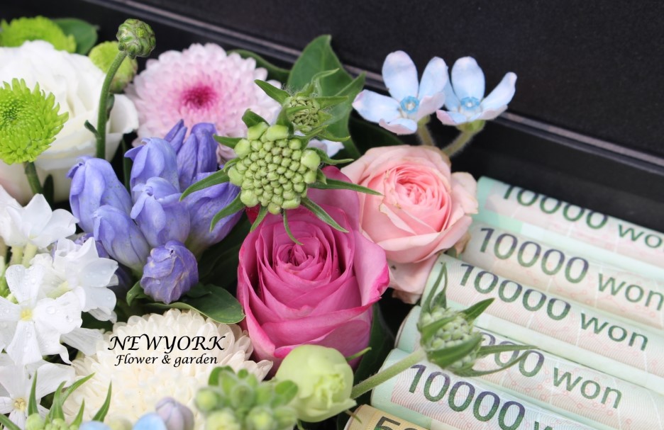 237354179_D05AvgcX_be175a1387ec5949ef6b28e7a4b61c880d94875f.jpg 이미지크게보기