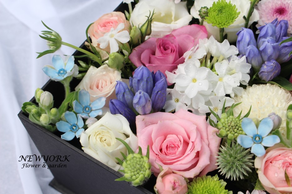 237354179_LE0pUniy_ac2c94d1fb1da66bca34d5cfdd6820054fa9cd0f.jpg 이미지크게보기