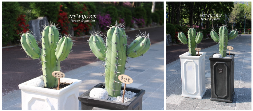 237354136_w8FOVE4j_fb63a727de451a265d59e3f4c1108de803e802ec.png 이미지크게보기
