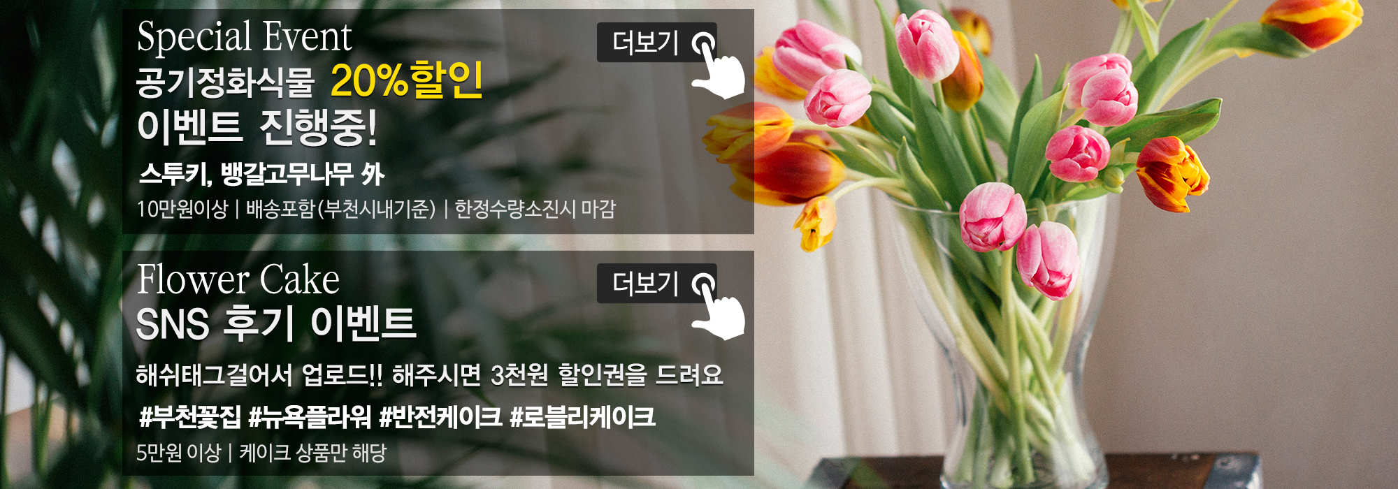 20191119165541_Bt81zGOE.jpg_carousel_부천꽃집_뉴욕플라워,부천꽃배달,부천돈꽃다발,중동꽃집,상동꽃집,부천개업축화화분,스투키,공기정화식물