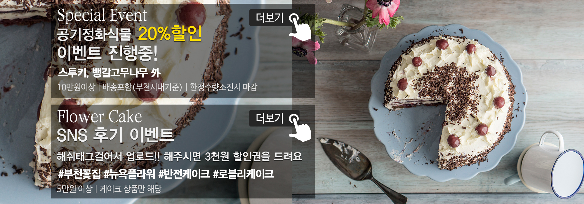 20191119165541_bAtXOe4l.jpg_carousel_부천꽃집_뉴욕플라워,부천꽃배달,부천돈꽃다발,중동꽃집,상동꽃집,부천개업축화화분,스투키,공기정화식물