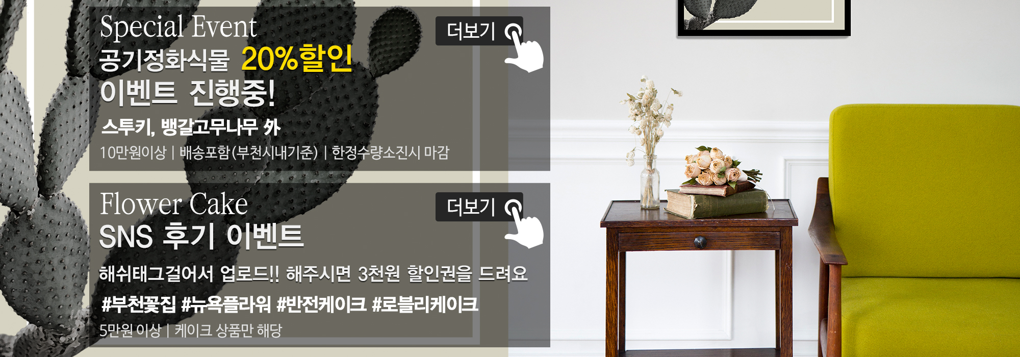 20191119165542_ZkruXYht.jpg_carousel_부천꽃집_뉴욕플라워,부천꽃배달,부천돈꽃다발,중동꽃집,상동꽃집,부천개업축화화분,스투키,공기정화식물
