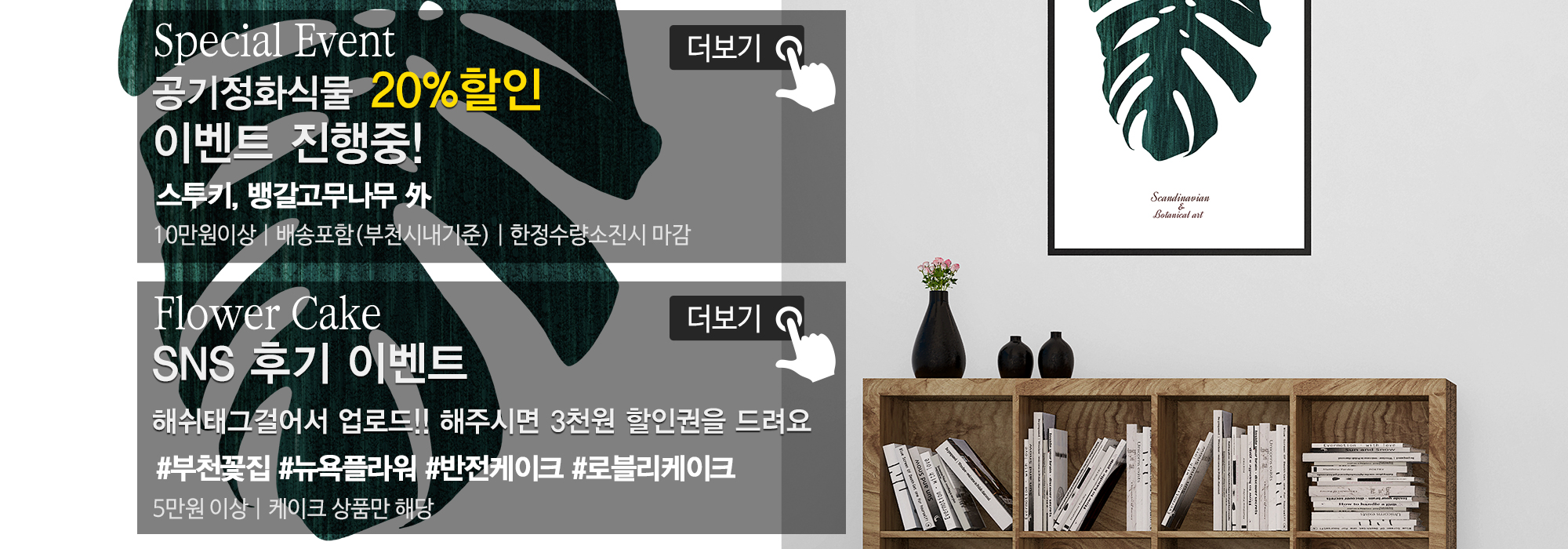 20191119165542_oO27hXuK.jpg_carousel_부천꽃집_뉴욕플라워,부천꽃배달,부천돈꽃다발,중동꽃집,상동꽃집,부천개업축화화분,스투키,공기정화식물