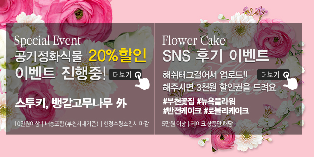 20191119165642_1wO8emsE.jpg_carousel_부천꽃집_뉴욕플라워,부천꽃배달,부천돈꽃다발,중동꽃집,상동꽃집,부천개업축화화분,스투키,공기정화식물