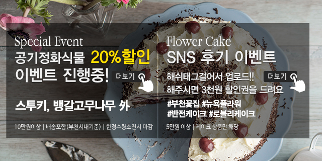 20191119165642_VwDReZbS.jpg_carousel_부천꽃집_뉴욕플라워,부천꽃배달,부천돈꽃다발,중동꽃집,상동꽃집,부천개업축화화분,스투키,공기정화식물