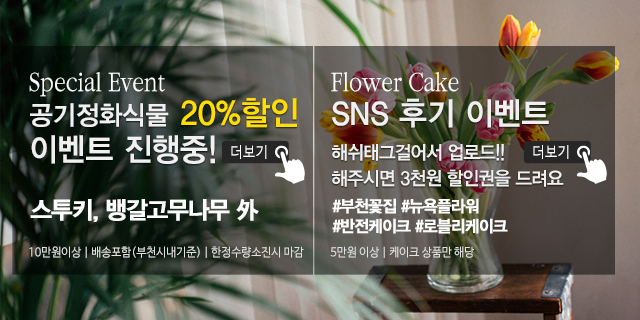 20191119165642_kM36tRCq.jpg_carousel_부천꽃집_뉴욕플라워,부천꽃배달,부천돈꽃다발,중동꽃집,상동꽃집,부천개업축화화분,스투키,공기정화식물