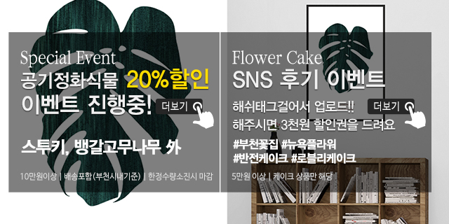 20191119165642_n0K8cdie.jpg_carousel_부천꽃집_뉴욕플라워,부천꽃배달,부천돈꽃다발,중동꽃집,상동꽃집,부천개업축화화분,스투키,공기정화식물