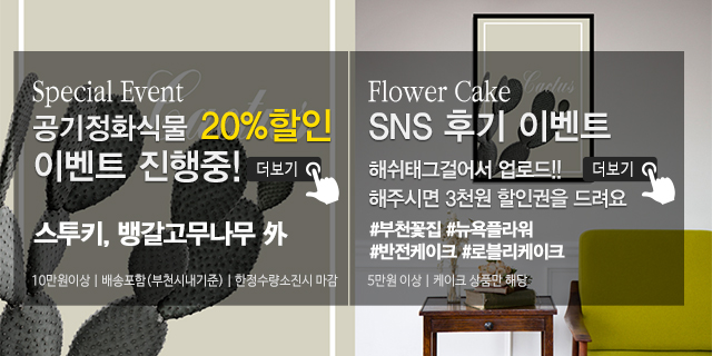 20191119165642_rIlT3qzv.jpg_carousel_부천꽃집_뉴욕플라워,부천꽃배달,부천돈꽃다발,중동꽃집,상동꽃집,부천개업축화화분,스투키,공기정화식물