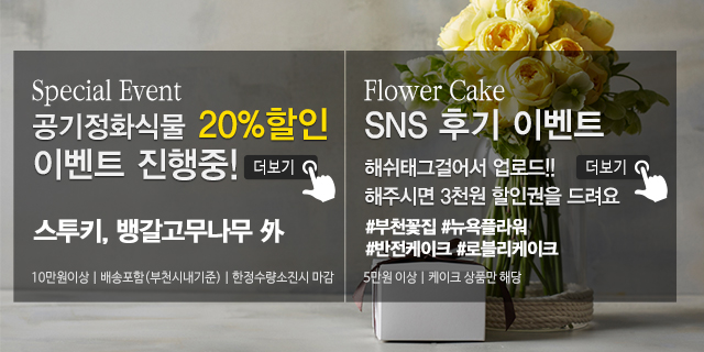 20191119165642_zlrTC5Oe.jpg_carousel_부천꽃집_뉴욕플라워,부천꽃배달,부천돈꽃다발,중동꽃집,상동꽃집,부천개업축화화분,스투키,공기정화식물